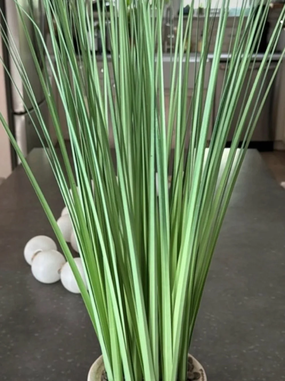 Restoration Hardware Green Faux Grass in Cream Ceramic Pot
